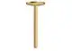 AXOR-HG-AXOR-One-Deckenanschluss-300-mm-fuer-Kopfbrause-280-1jet-Brushed-Gold-Optic-48495250 gallery number 1